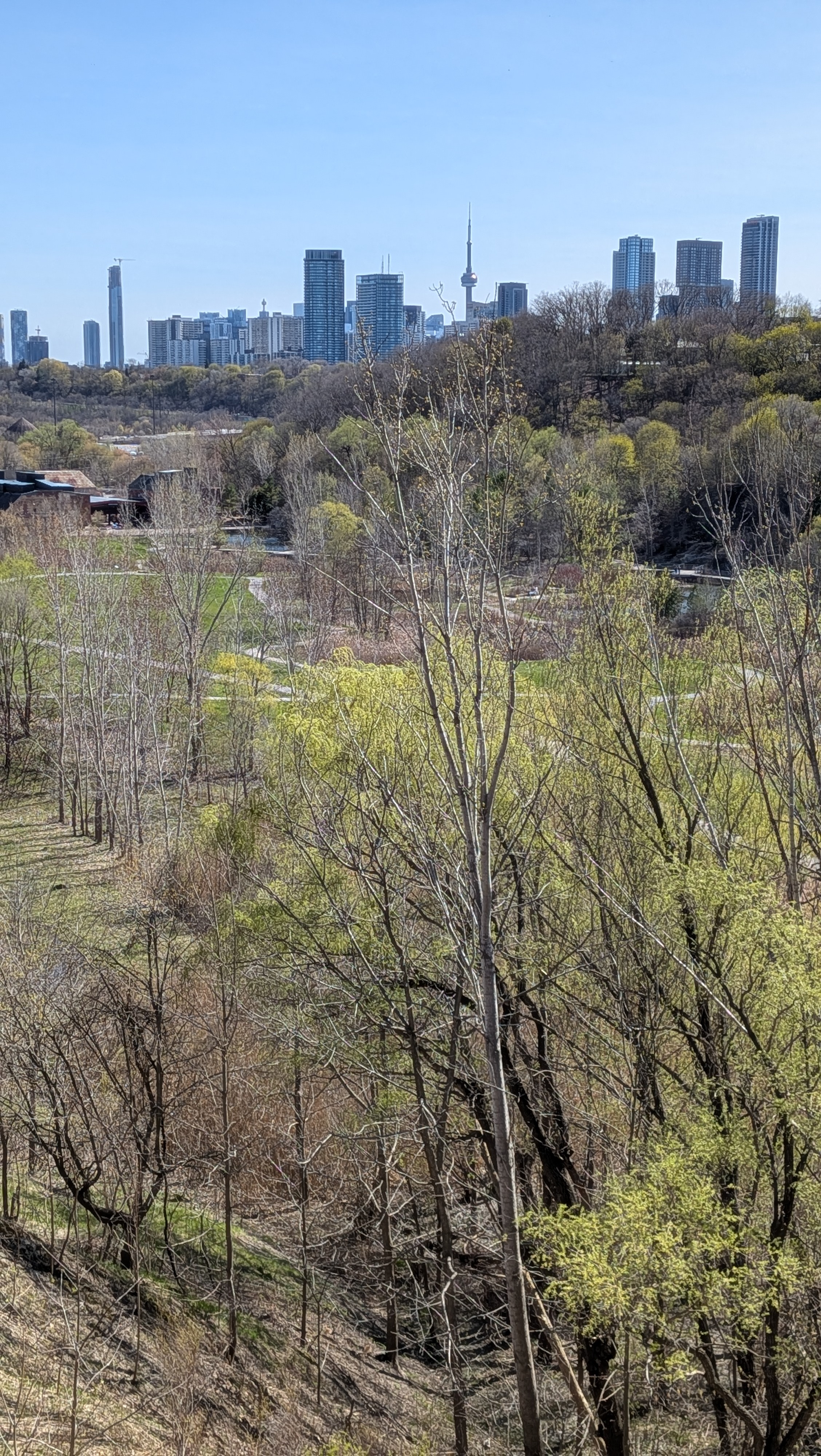 Evergreen Brickworks ravine trail tour