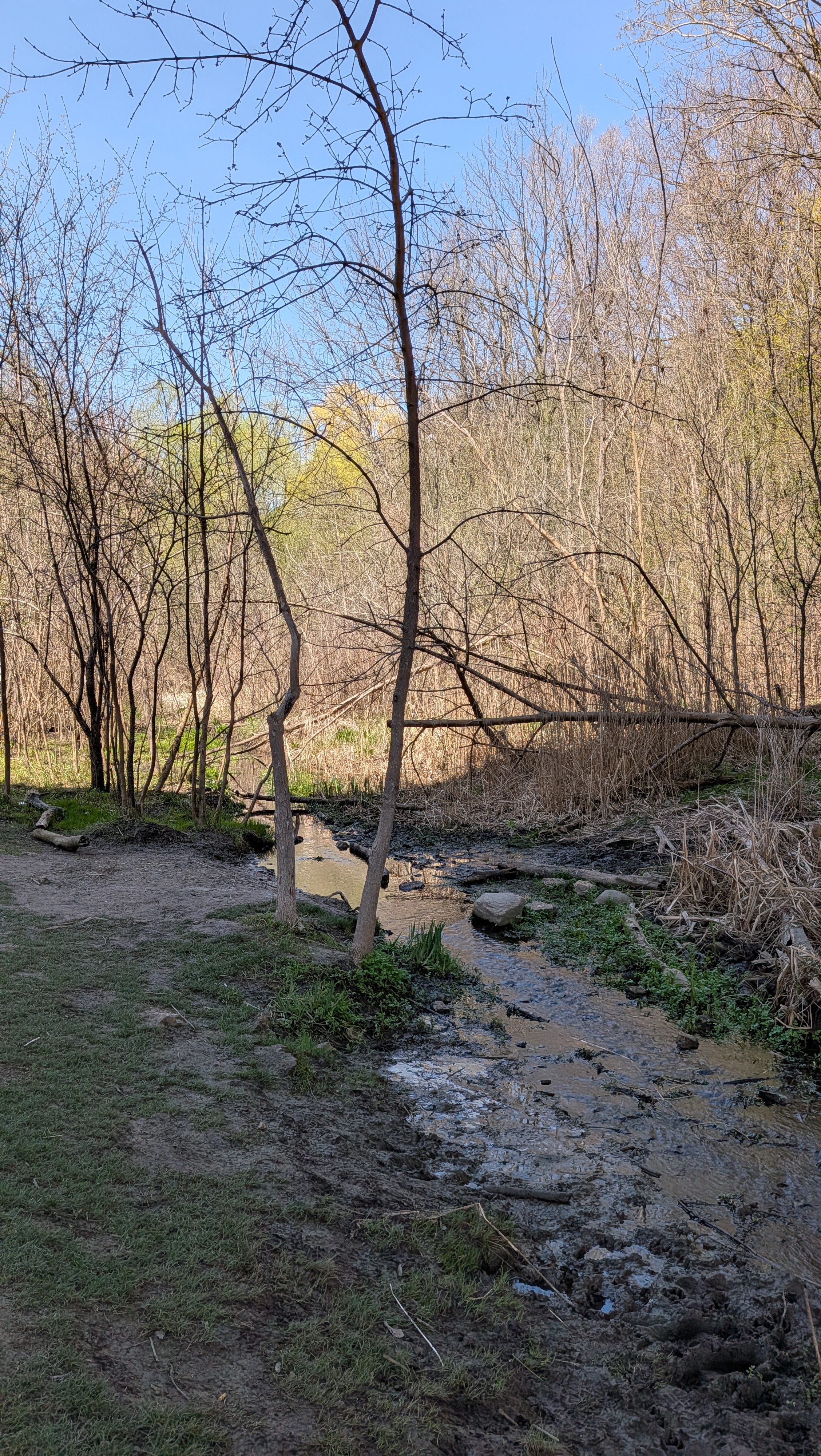 St. Clair ravine walking tour